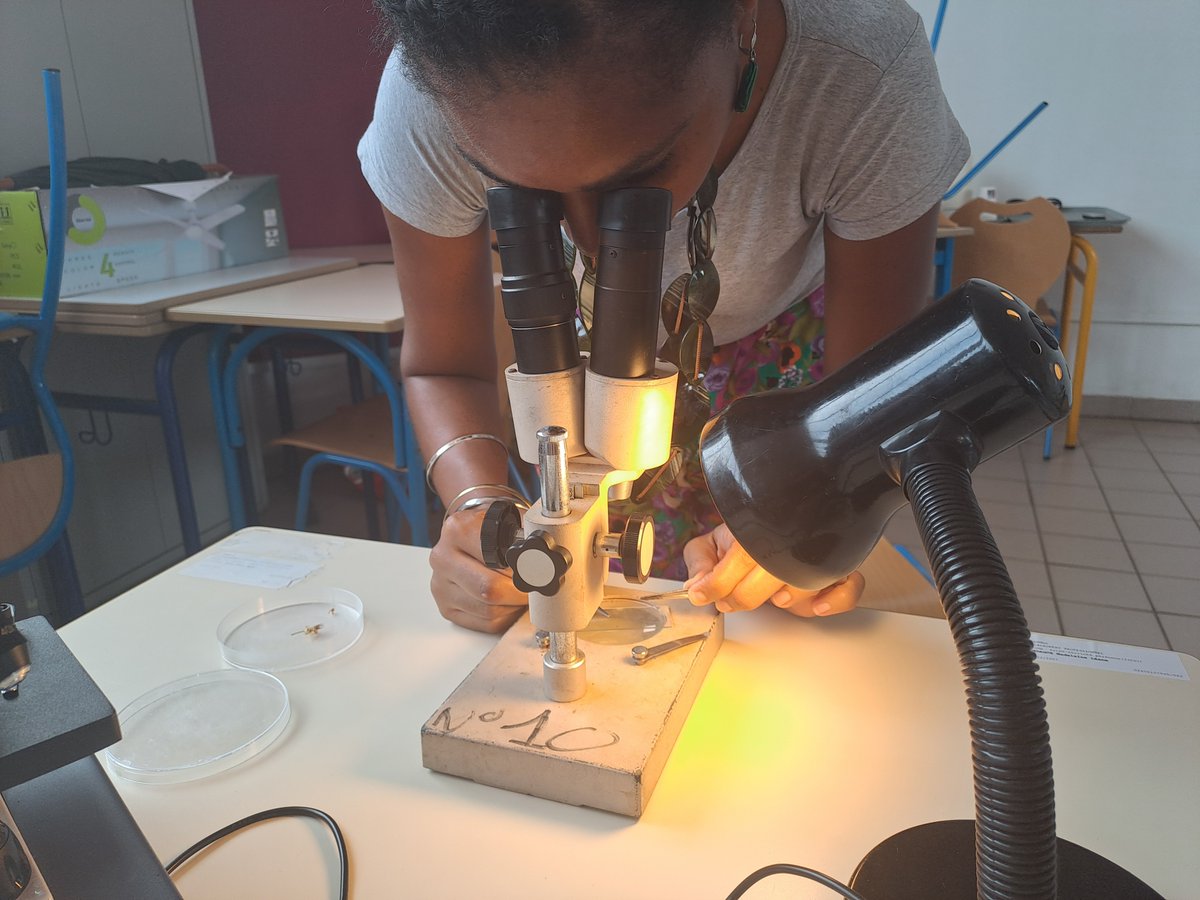 Maison pour la science en Guyane tweet media