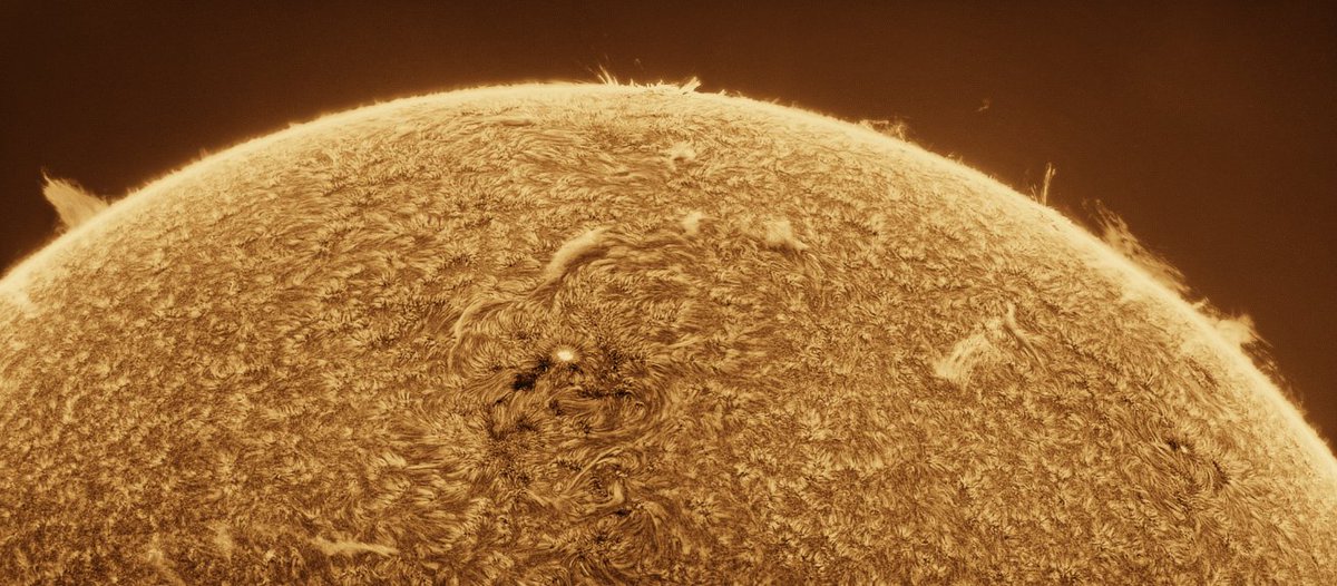MBerto7's tweet image. Prominencia eruptiva a primera hora de la mañana (limbo oeste). El Sol estaba apenas a 12 grados sobre el horizonte.
En el otro limbo se producía otra erupción (4a imagen)

Long Perng 80 f6.25
Daystar Quark chromosphere 
P One Apollo-M Mini
P One ERF S-Series
Svbony UV IR cut