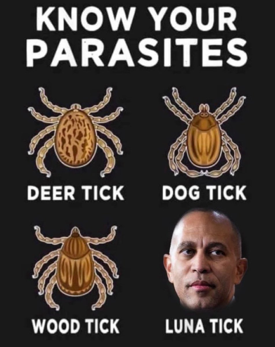 Jeffrey Davis (@jeffreybdavis) on Twitter photo Hakeem Jeffries represents everything sh*tty with the Dems with this stupid stunt. No. One. Cares. Get out of the way and let the adults govern. <a href="/RepJeffries/">Hakeem Jeffries</a> <a href="/HouseDemocrats/">House Democrats</a> <a href="/SenateDems/">Senate Democrats</a> Hakeem Jeffries represents everything sh*tty with the Dems with this stupid stunt. No. One. Cares. Get out of the way and let the adults govern. <a href="/RepJeffries/">Hakeem Jeffries</a> <a href="/HouseDemocrats/">House Democrats</a> <a href="/SenateDems/">Senate Democrats</a>