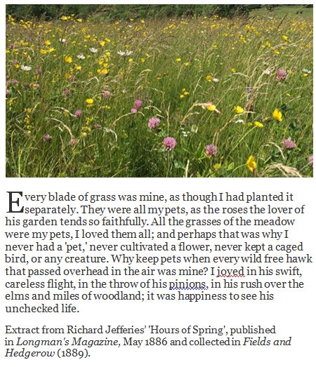 Richard Jefferies Society tweet media