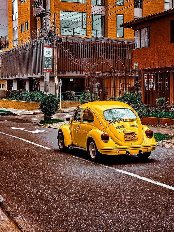 “ Eksik kalan neyim varsa düşmüşüm peşine... Kırıldı ise onarmaya, kayboldu ise bulmaya koşuyorum.”