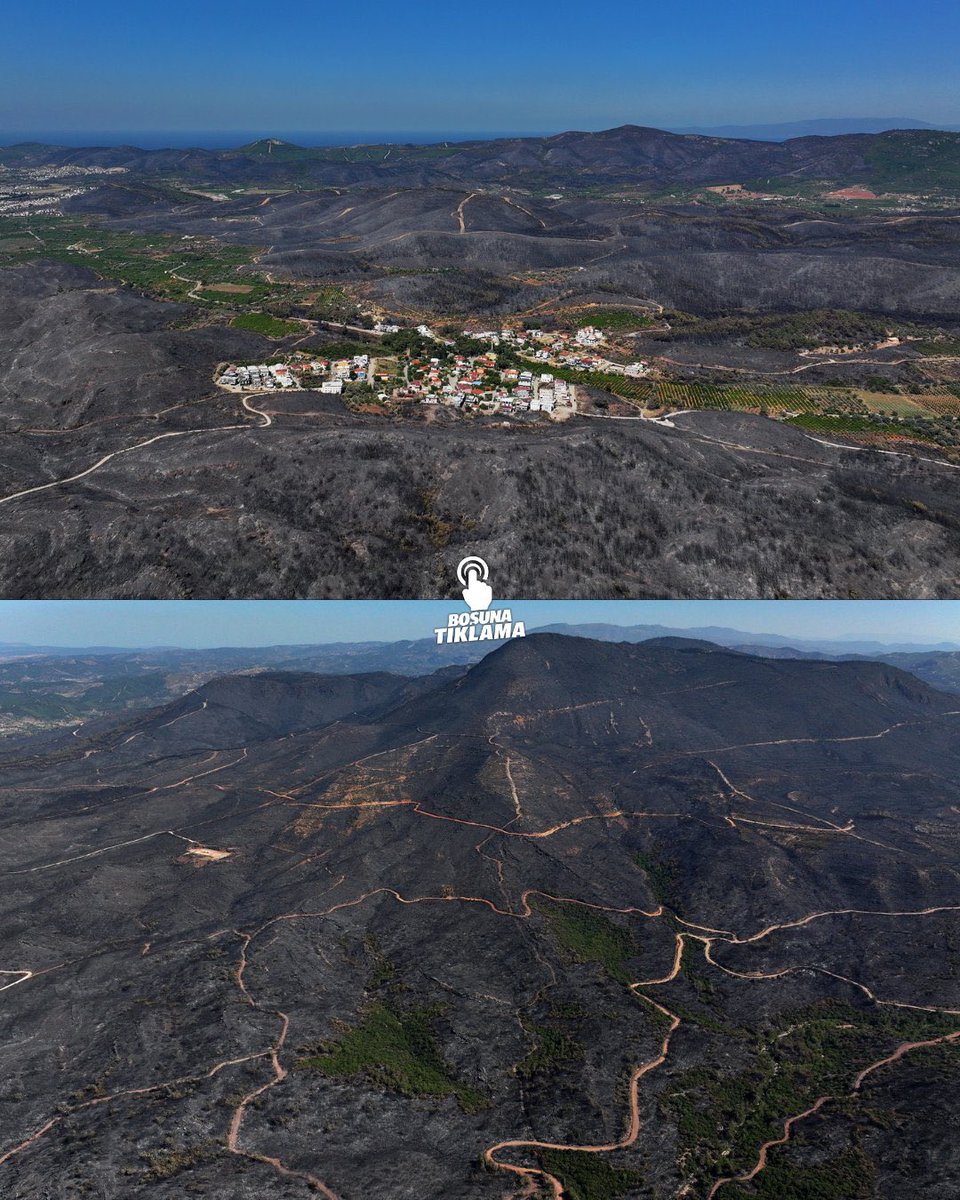 yakreb__61's tweet image. 📍Seferihisar&apos;ın son hali
  - Hükümet 🤝 pkk