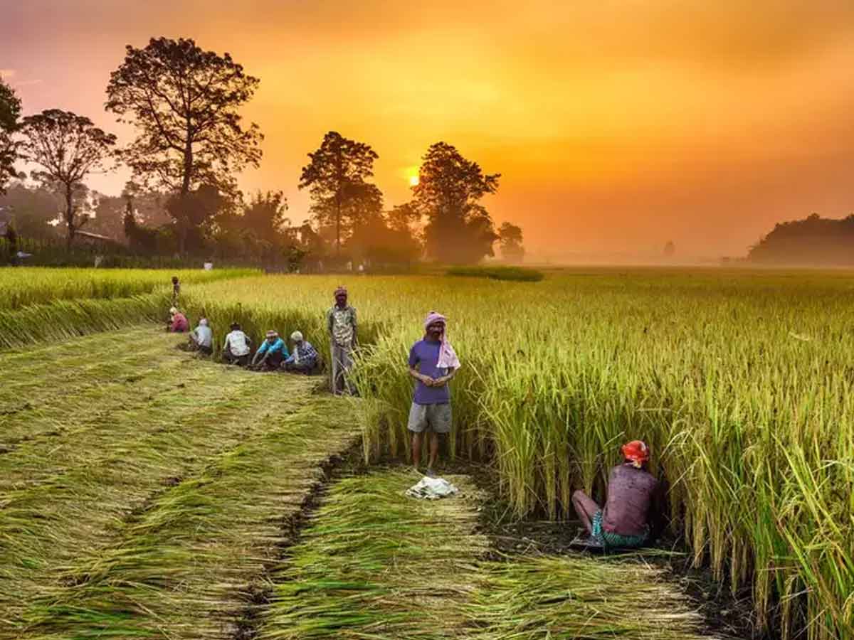 इतना तो बताओ, आज़ादी के बाद से अब तक किस सरकार ने सच में किसानों के हक़ में ठोस फैसले लिए?
नाम और काम—दोनो बताओ!