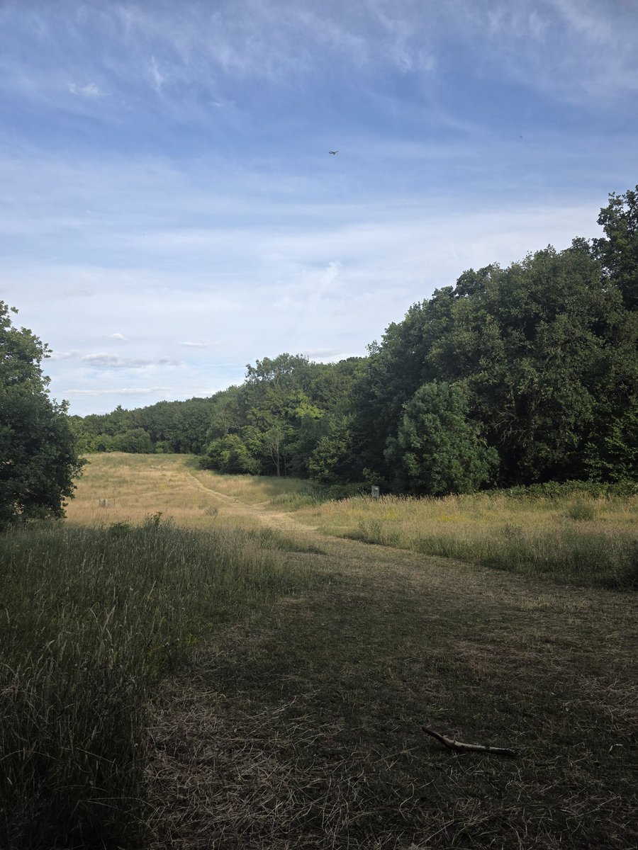 KATIE MAGNET ;💞🧲X🌳 tweet media