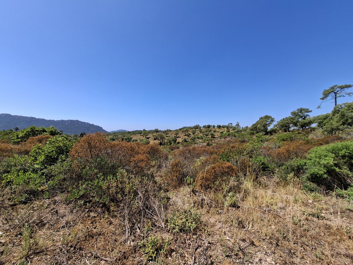 Einerseits kann man sich wundern, dass es hier nicht ständig in der staubtrockenen Knüste lichterloh brennt. Andererseits ist das nur ein Hinweis auf eine geringe Deppenquote.