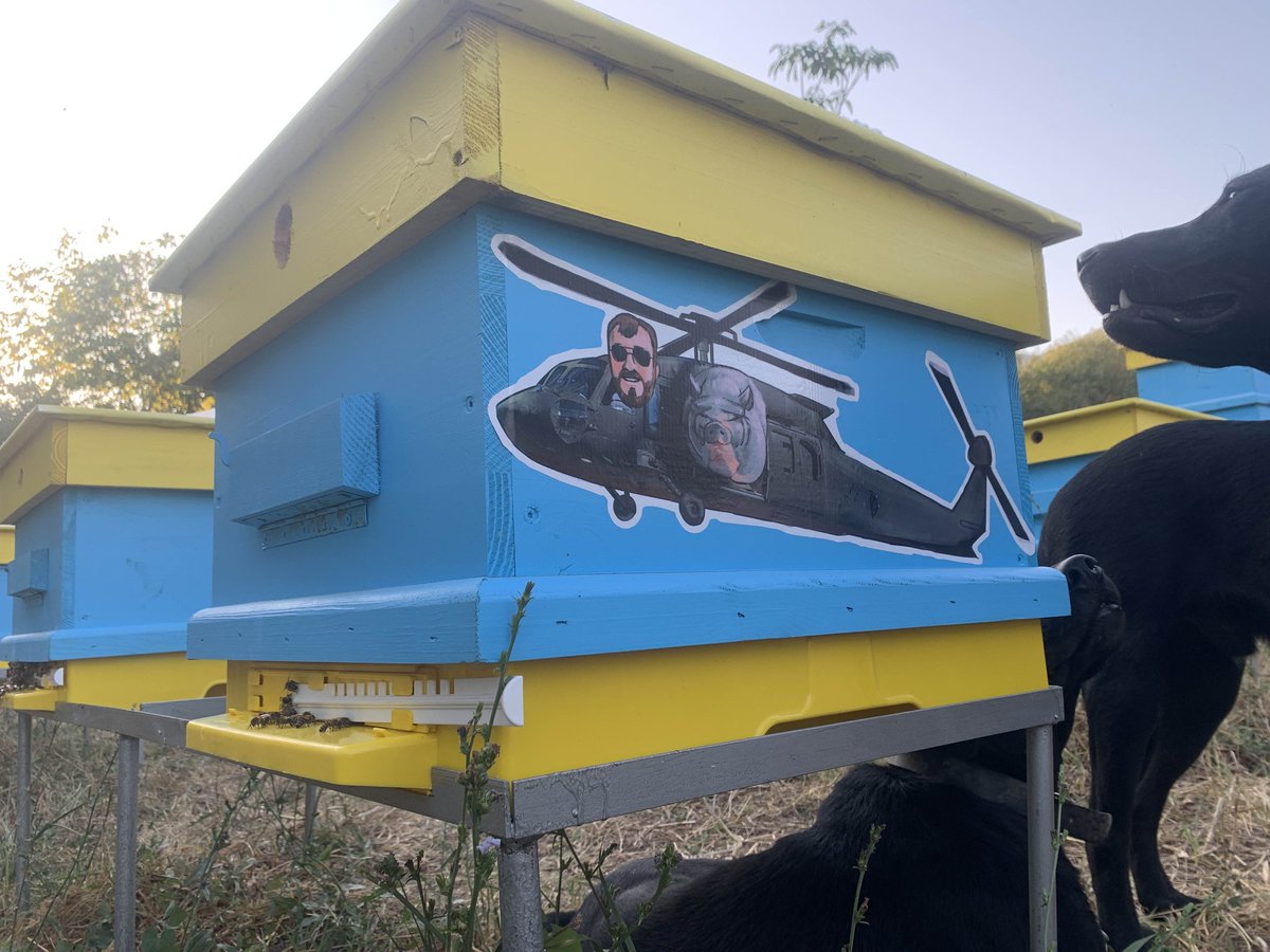 In 7 days our founder <a href="/CNFTBTC/">CB | cbhashchat</a> will bee on a plane, heading to <a href="/IOHK_Charles/">Charles Hoskinson</a> ranch to install an apiary! We are buzzing with excitement! Fulfilling our mission of increasing the bee population, for the architect of the chain we launched on. Brilliant! 
SaveTheBees BuzzBuzz