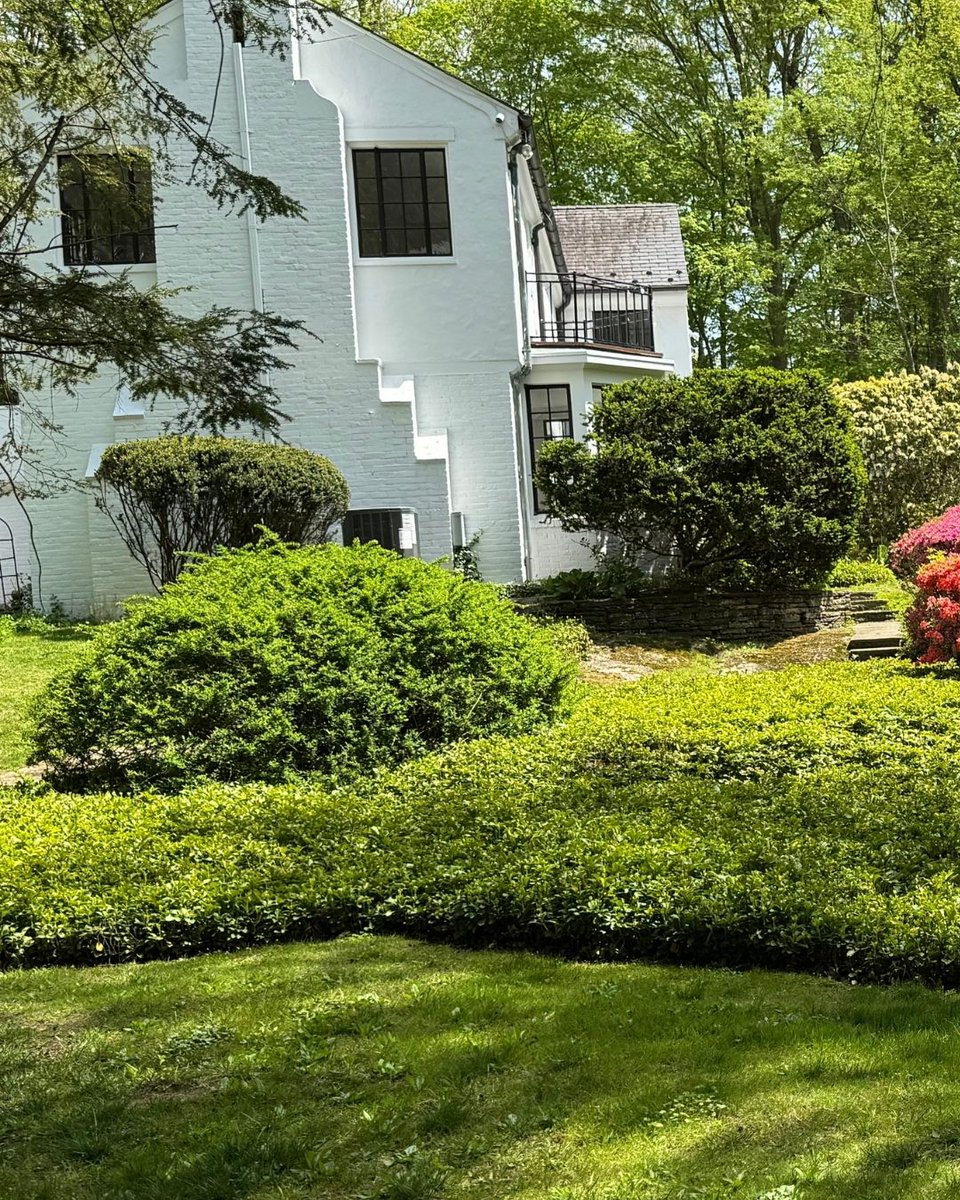 LegardenDesigns's tweet photo. Timeless elegance rooted in mature beauty. 🌺🌿 These vibrant azaleas and lush beds of pachysandra bring texture, color, and low-maintenance greenery to this classic landscape.

#LeGardenDesigns #MatureLandscapes #AzaleasInBloom #PachysandraGroundcover #TimelessGardens https://t.co/Ih7YsiKOZP