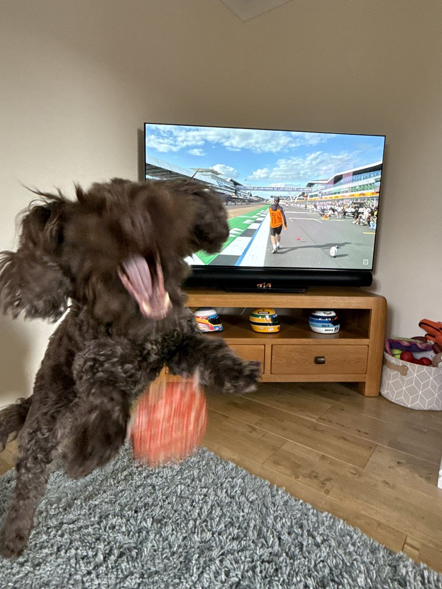 McLarenDoggo's tweet image. Enjoying the F1 Show from Silverstone.
I did my own version of the rugby ball challenge! #SkyF1
