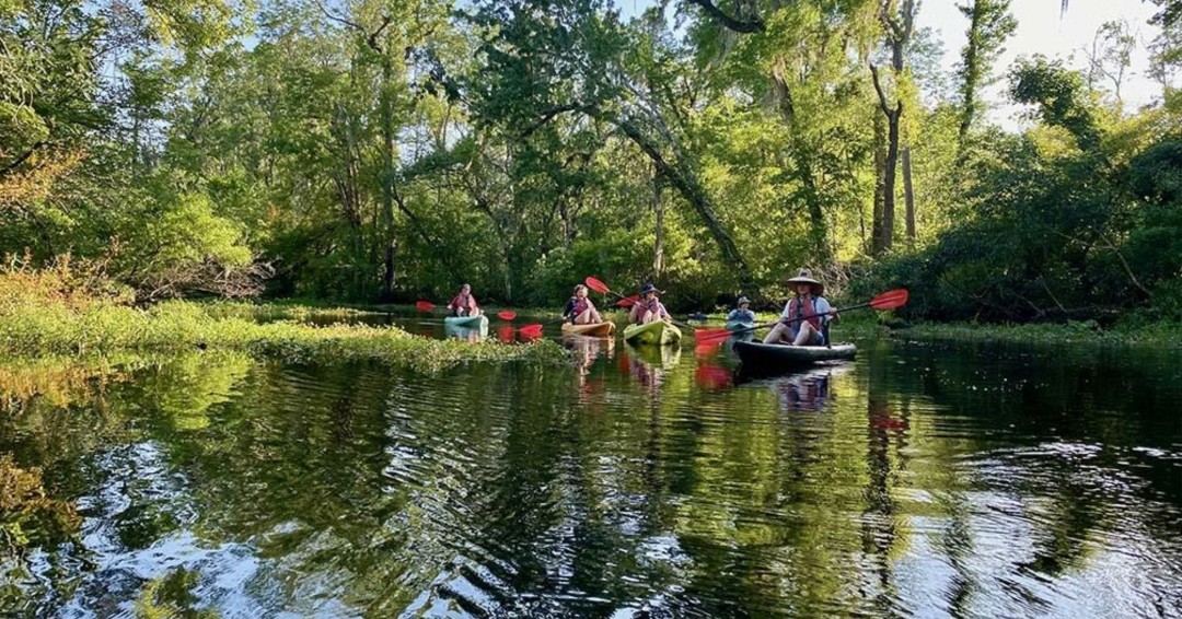 Go off the grid (in the best way) with the Wildlife Escape: Deep Creek Kayak Tour every Thursday through Sunday at 10 a.m.  #FloridasHistoricCoast #StAugustine 🐢🌿 bit.ly/4iCW04C