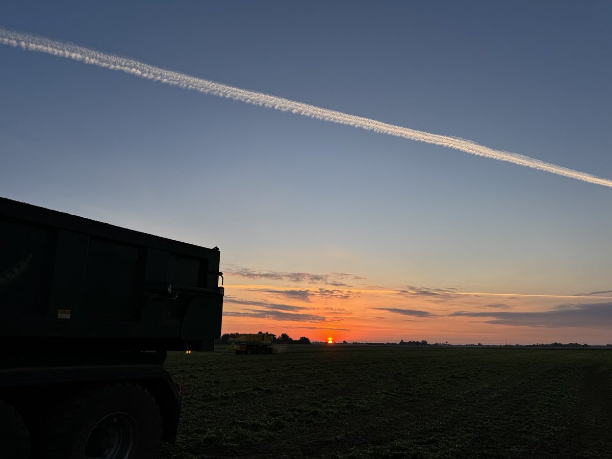 Yes Peas! (@yespeas) on Twitter photo A pea-utifiul sunrise captured by <a href="/FenPeasLtd/">Fen Peas Ltd</a> 🫛
Only 3 more sleeps until Great British Pea Week....
#sunrise #britishfarm #pea #frozenpeas #farmer A pea-utifiul sunrise captured by <a href="/FenPeasLtd/">Fen Peas Ltd</a> 🫛
Only 3 more sleeps until Great British Pea Week....
#sunrise #britishfarm #pea #frozenpeas #farmer