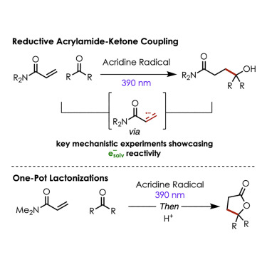 Chem_CP's tweet image. Online now: Reductive coupling of acrylamides and carbonyls via solvated electrons from excited-state acridyl radicals dlvr.it/TLjn7l