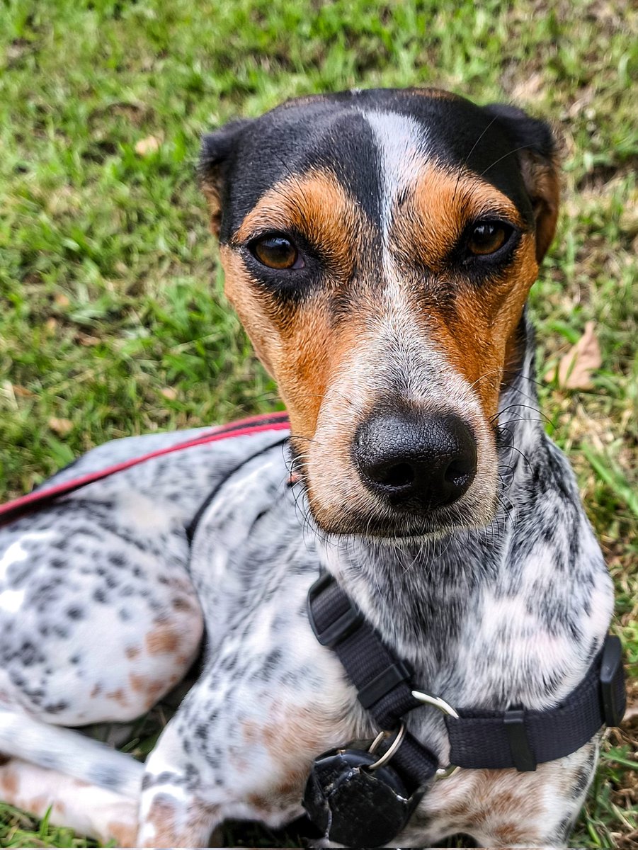 Xaretxo udako orrazkerarekin
#Xare 💖