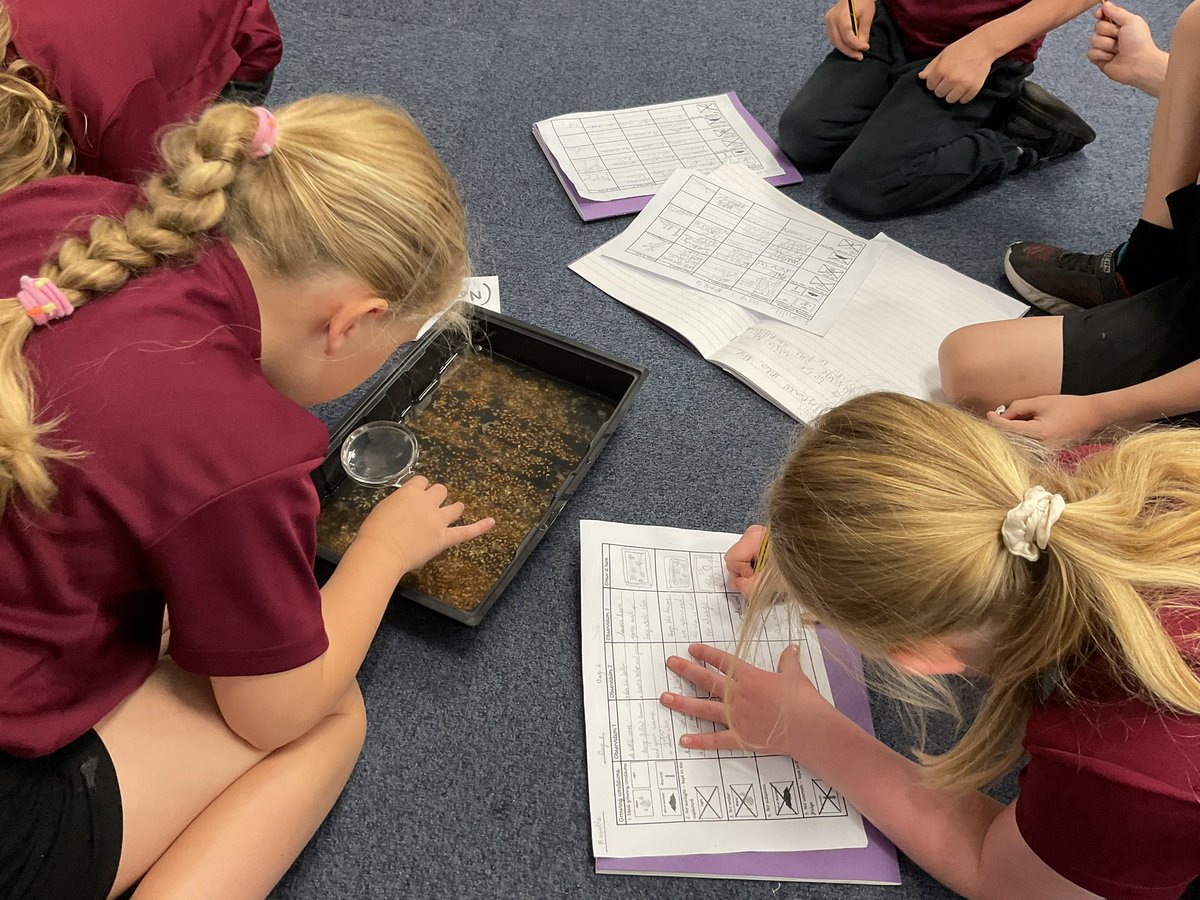 PDA_Y2's tweet image. Recording our observations of changes over time, in our cress investigation of ‘What does a plant need to grow strong and healthy?’ We compared the different conditions our seeds were given. #pdascience 👀👀🍀🍀