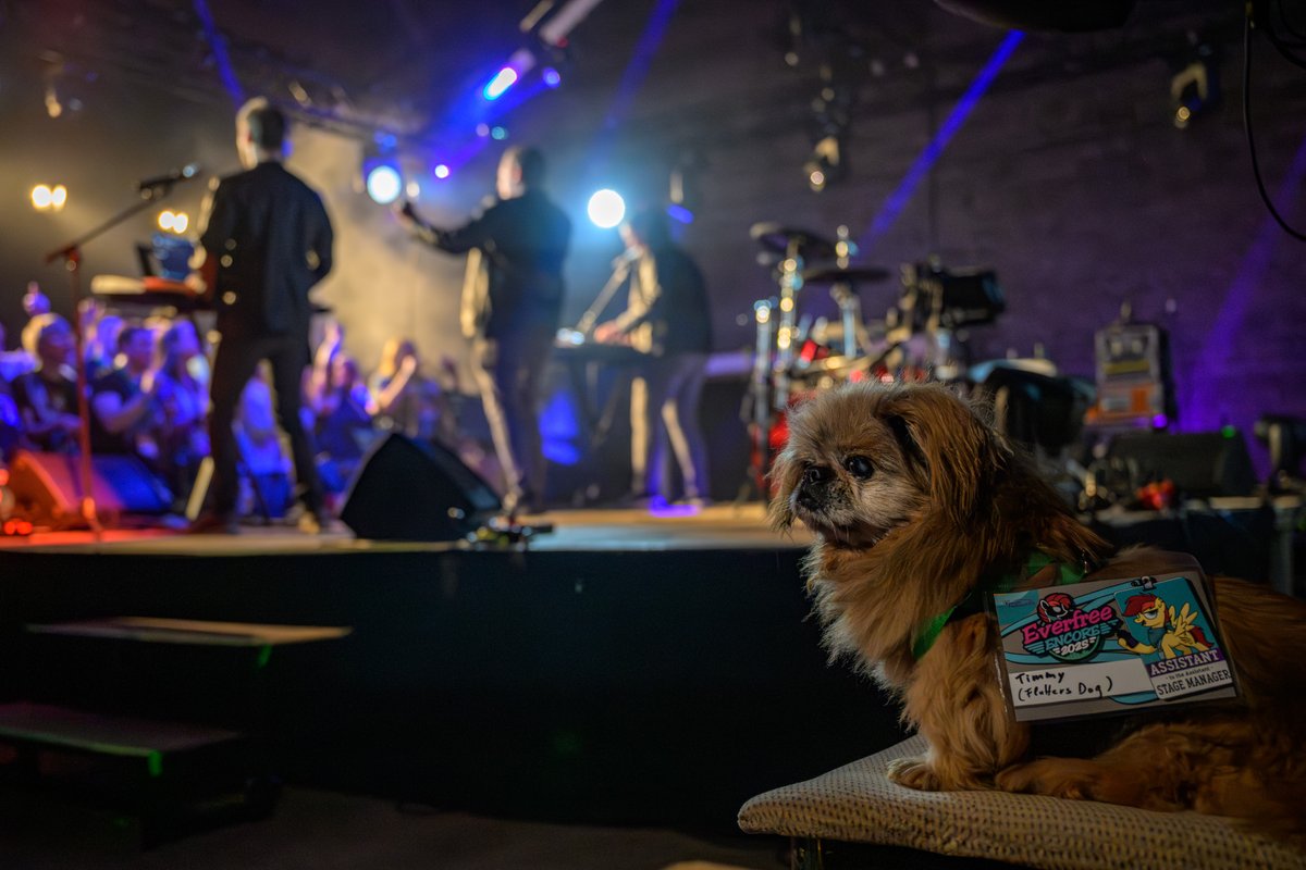 Everfree Encore - Feedback is Magic! 
What went great? What went wrong? Is Timmy a good boy? With your feedback, we can make next year's Everfree Encore even better! 
Take the visitor survey now: 
everfree-encore.eu/en/visitor-sur…