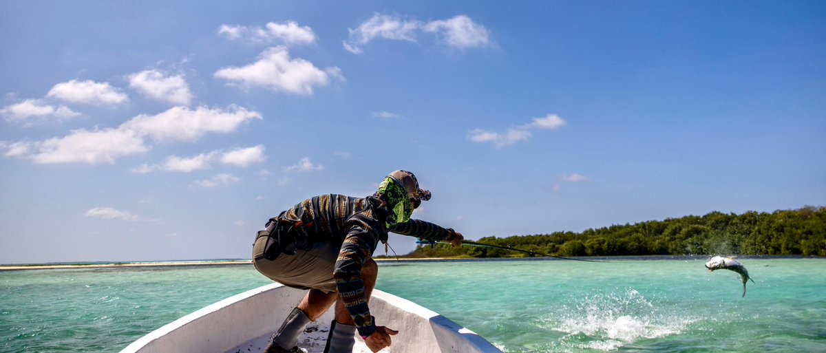 flyfchannel's tweet photo. When tarpon come up, it's time for you to get down!

Ph: Eugene Pawlowski 
#flyfishing #flyfish #flyfishermanschannel https://t.co/1zptv9EGuW