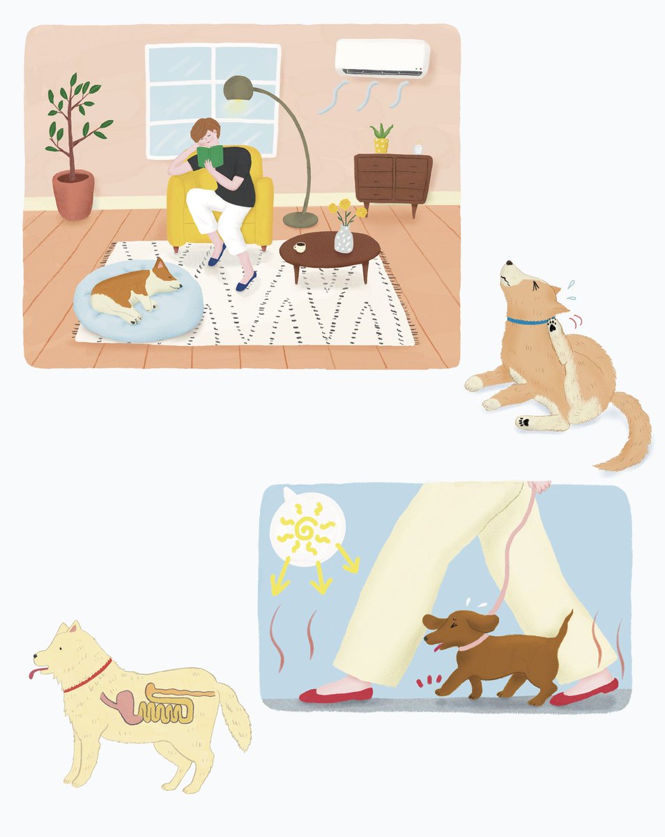 おはようございます。

ベネッセ　「いぬのきもち　8月号」"夏の皮膚病＆ケア"のイラストを担当しました。

犬目線で見ると、猛暑日の続く夏は人間以上に気をつけなくてはいけない事が増える季節。

そんな飼い主さんの不安に寄り添ってくれる一冊です。

今日も暑くなりそうですが、ご自愛ください😊