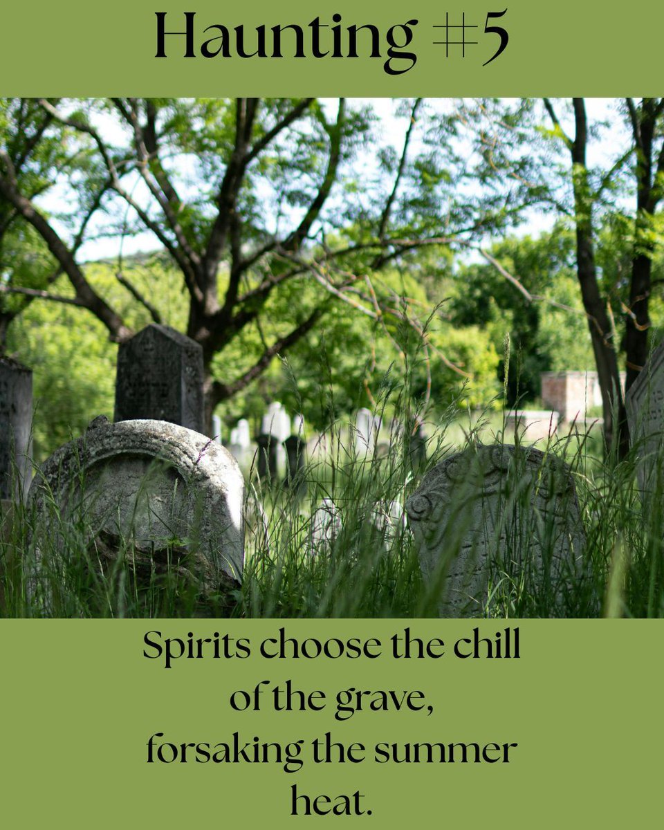 RayYanek's tweet image. #hauntings #ghosts #paranormal #ghosthunting #amwriting #writers #writing #writingcommunity #YALit #horror #YAfiction #YAhorror #YACommunity #YAwriting