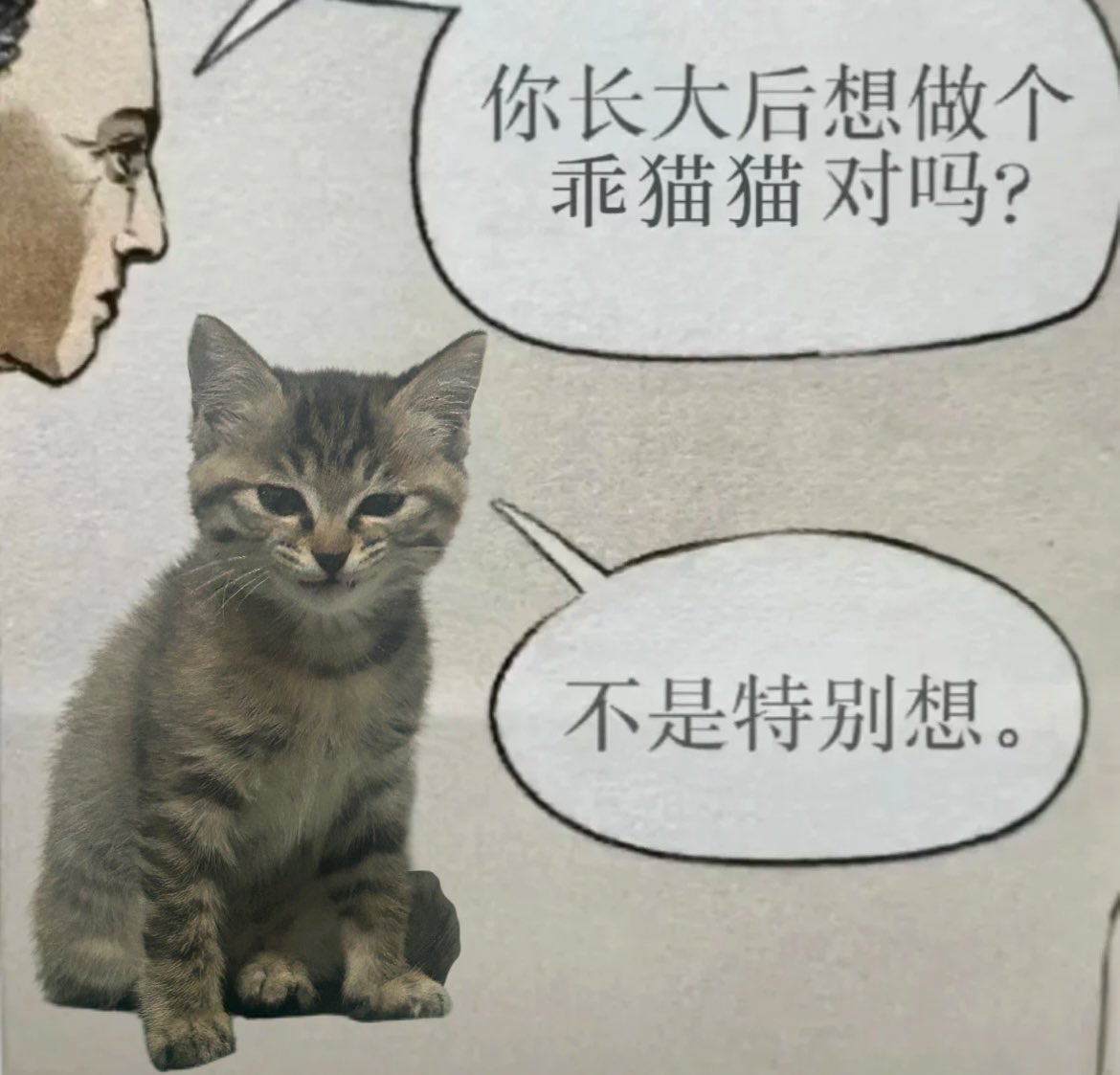 s᳐uz᳐ie੭ (@qifreya1) on Twitter photo 