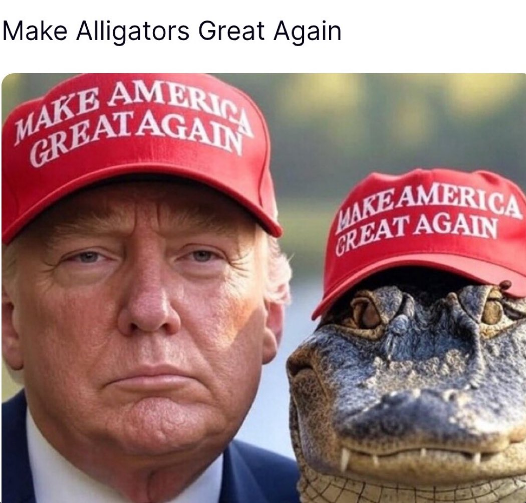 Make Alligators Great Again @MAGA 
🤣