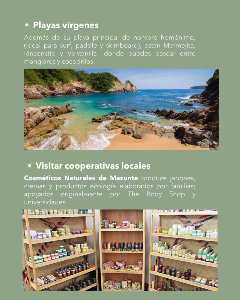 Consulmex Fresno (@consulmexfresno) on Twitter photo #Turismo | 🏖🌊Con playas tranquilas, opciones de ecoturismo, proyectos de conservación ambiental y una actividades en pro del bienestar físico y espiritual, #Mazunte es el destino de ensueño de la costa oaxaqueña. ¡Conócelo!😎
@sectur_goboax <a href="/GobOax/">Gobierno de Oaxaca</a> <a href="/SECTUR_mx/">SECTUR México</a> #Turismo | 🏖🌊Con playas tranquilas, opciones de ecoturismo, proyectos de conservación ambiental y una actividades en pro del bienestar físico y espiritual, #Mazunte es el destino de ensueño de la costa oaxaqueña. ¡Conócelo!😎
@sectur_goboax <a href="/GobOax/">Gobierno de Oaxaca</a> <a href="/SECTUR_mx/">SECTUR México</a>