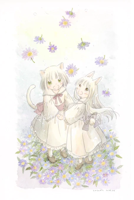「ずっと大好きだよ」 透明水彩・ウォーターフォード・デジタル主線 #刻忘れの花 虹色の空から降るのはシオンの花。 花言葉は「追憶」のほかに「あなたを忘れない」「遠くにいる人を思う」 ずっとずっと大好きだよ。 いつか、虹の橋で。