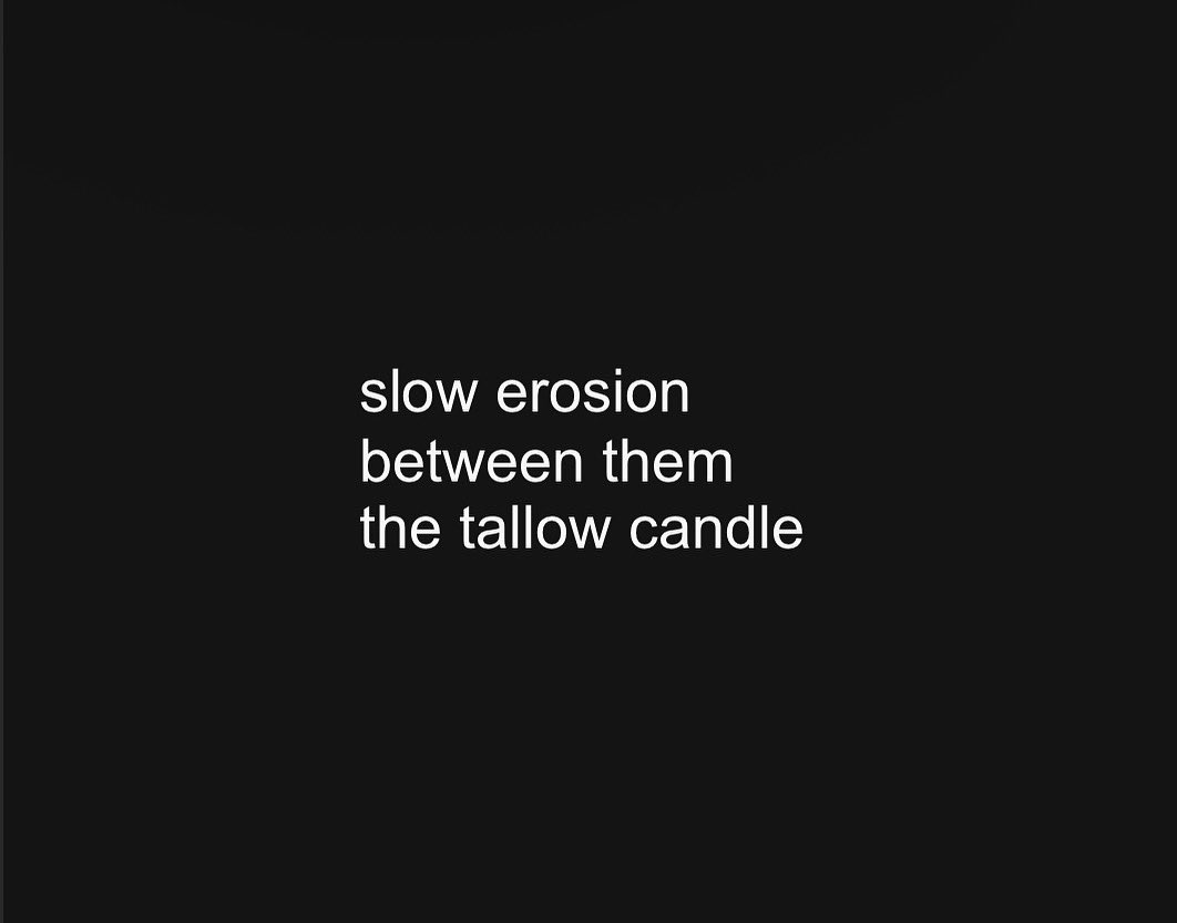 FreshoutMag's tweet image. #senryu by new contributor, Oana Maria Cercel, of Italy ( IG: oana_maria_ ). #poetry #haiku #courting #datenight #micropoetry #candlelight #poetrylovers #italy #poetrycommunity