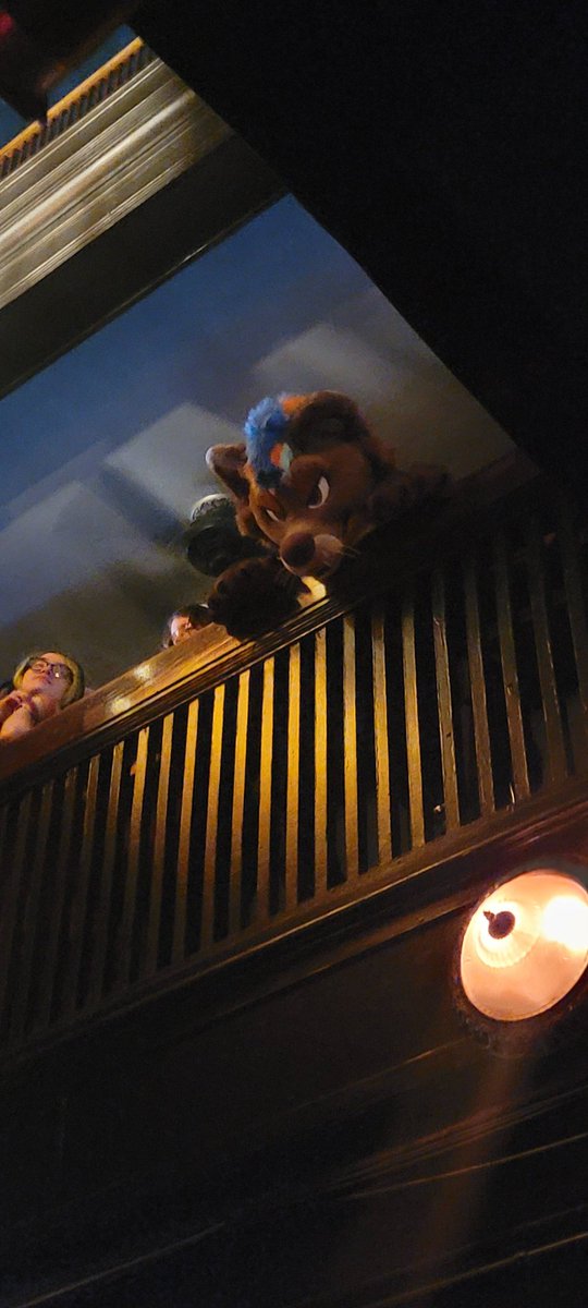 hello animals yes i will be at anthrocon no you will not be able to find me (i forgot all my badges)

first person to spot me gets a small cash prize (not clickbait)