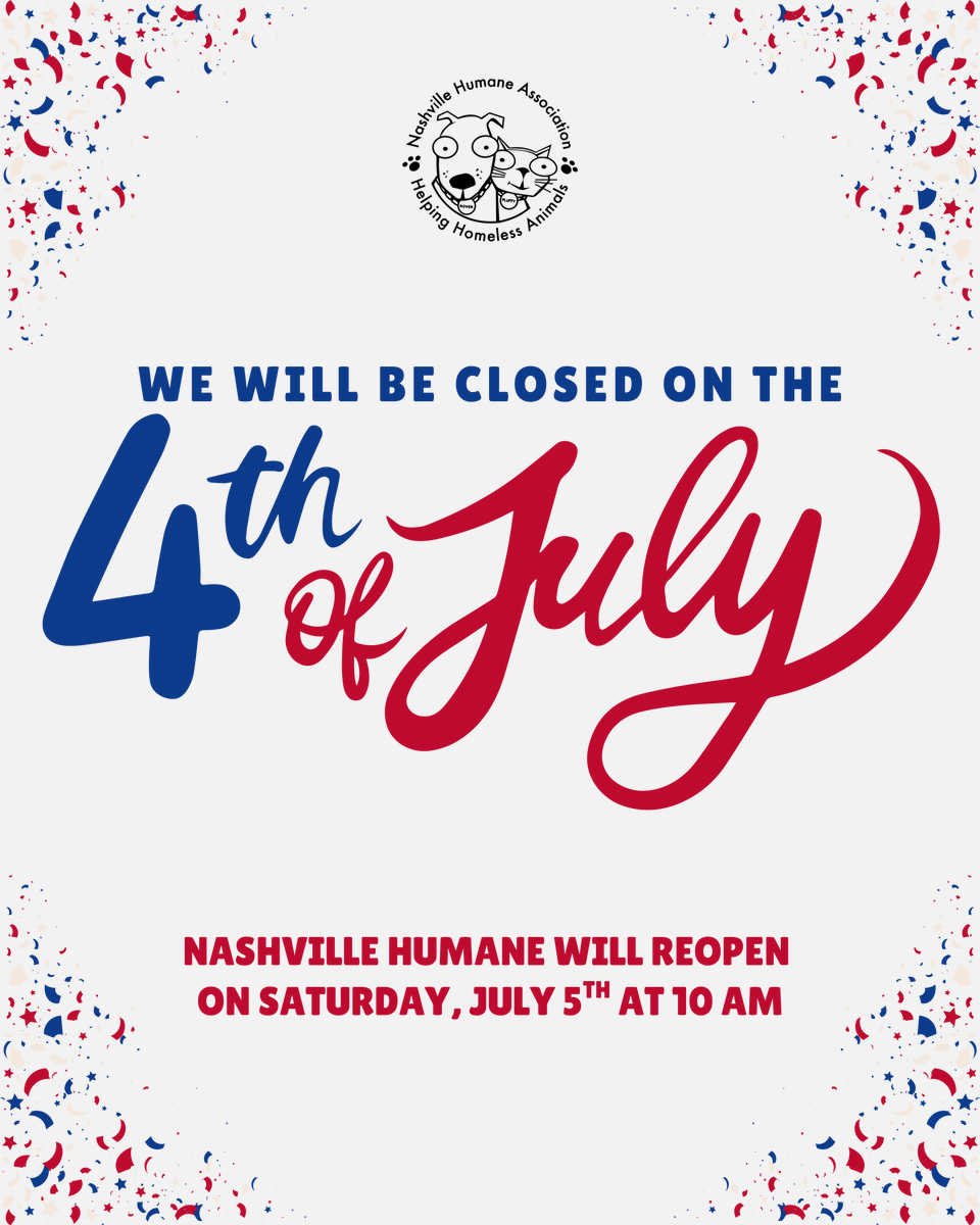 nashvillehumane's tweet photo. Nashville Humane will be closed for the 4th of July!❤️ We'll reopen Saturday, July 5th, at 10 AM with normal business hours. Have a safe and happy Fourth, and don’t forget to keep your pets cool, calm, and indoors during the fireworks!✨ https://t.co/jcXwh67vKZ