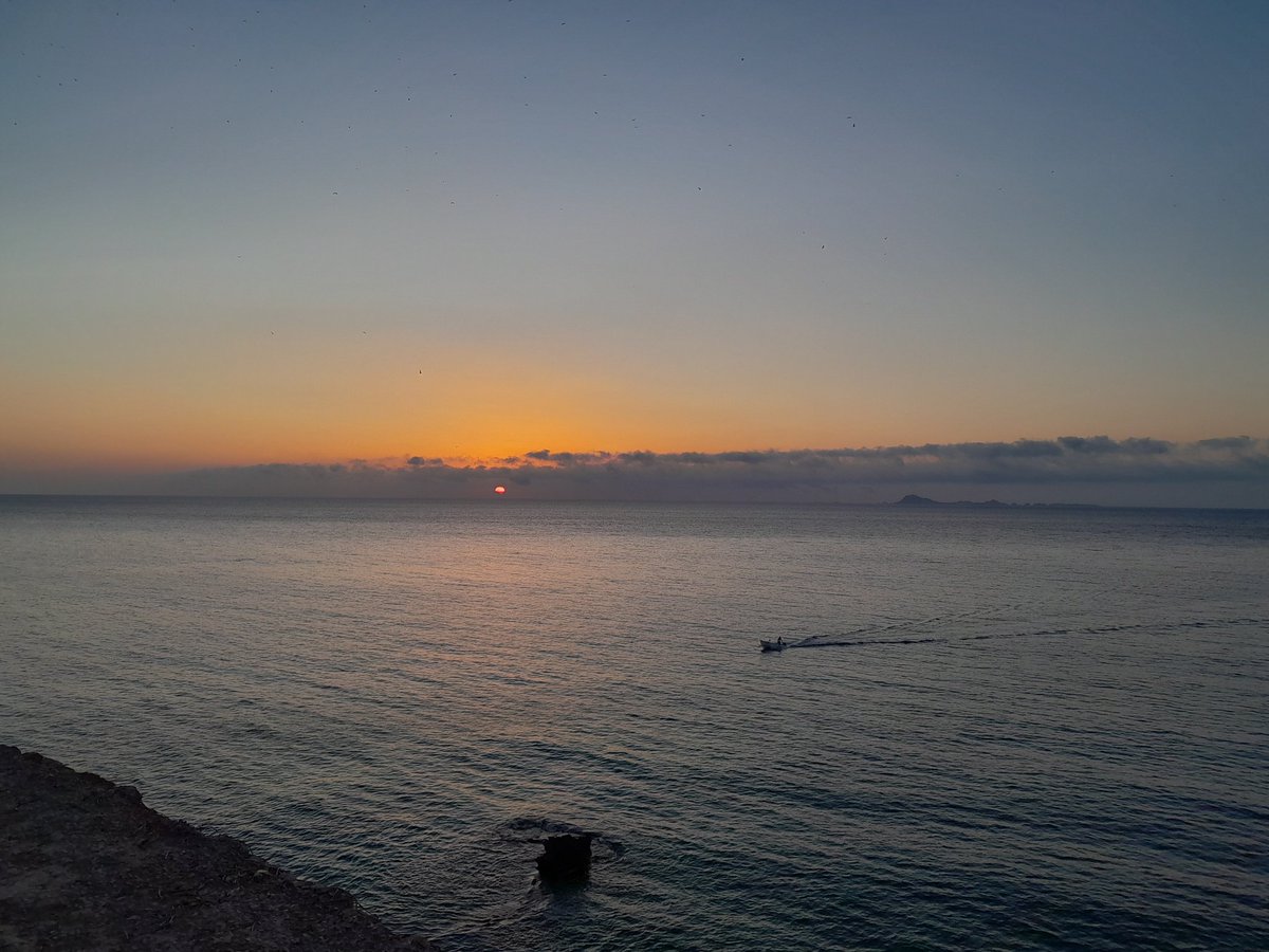 fifichft's tweet image. 3/7/25