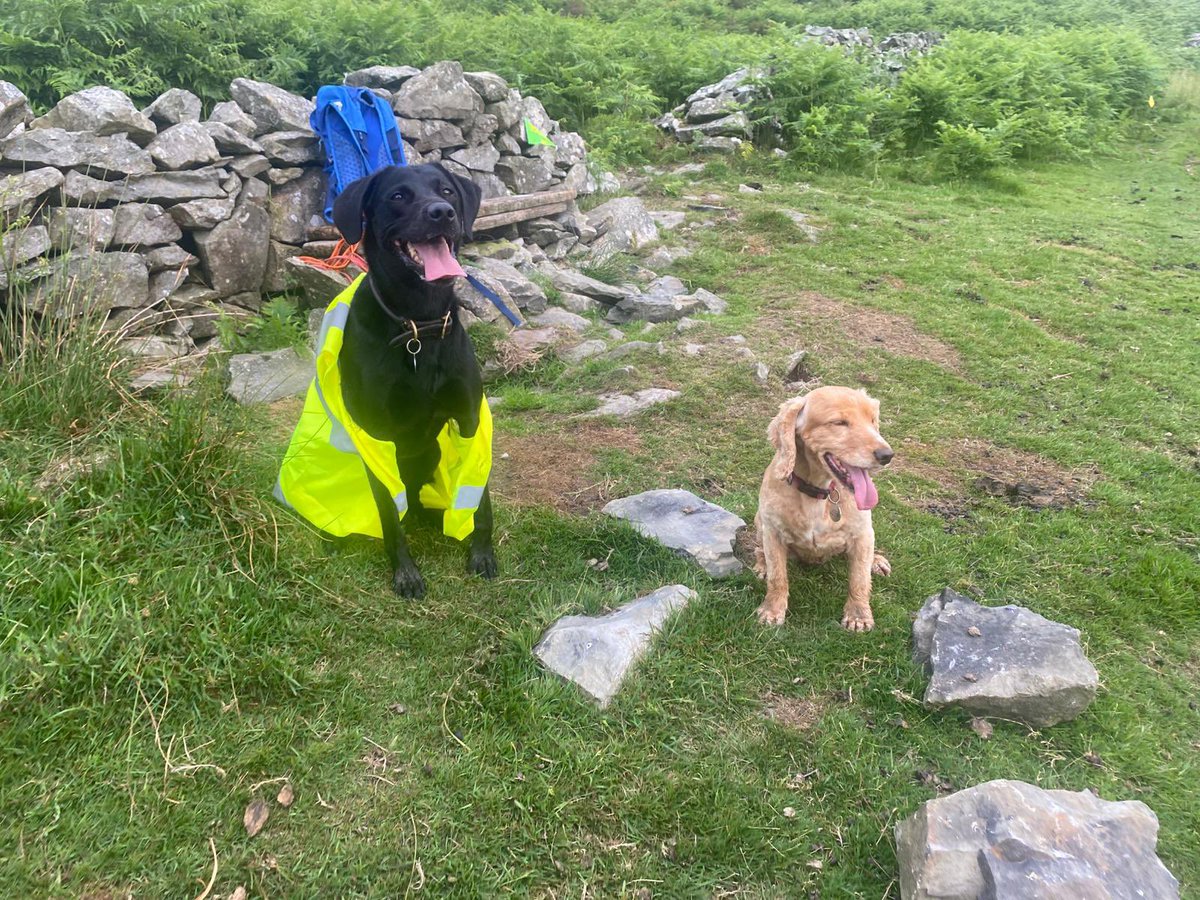 Paul Fitzsimmons tweet media