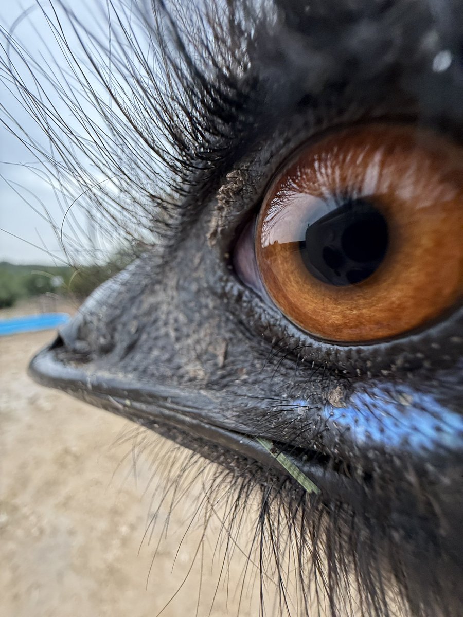 he is always watching … waiting
