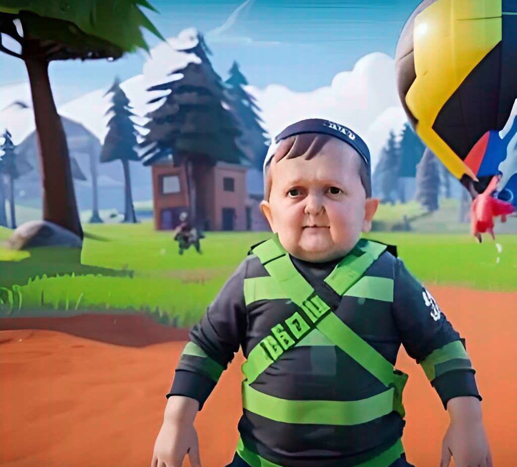 They finally added my Fortnite skin