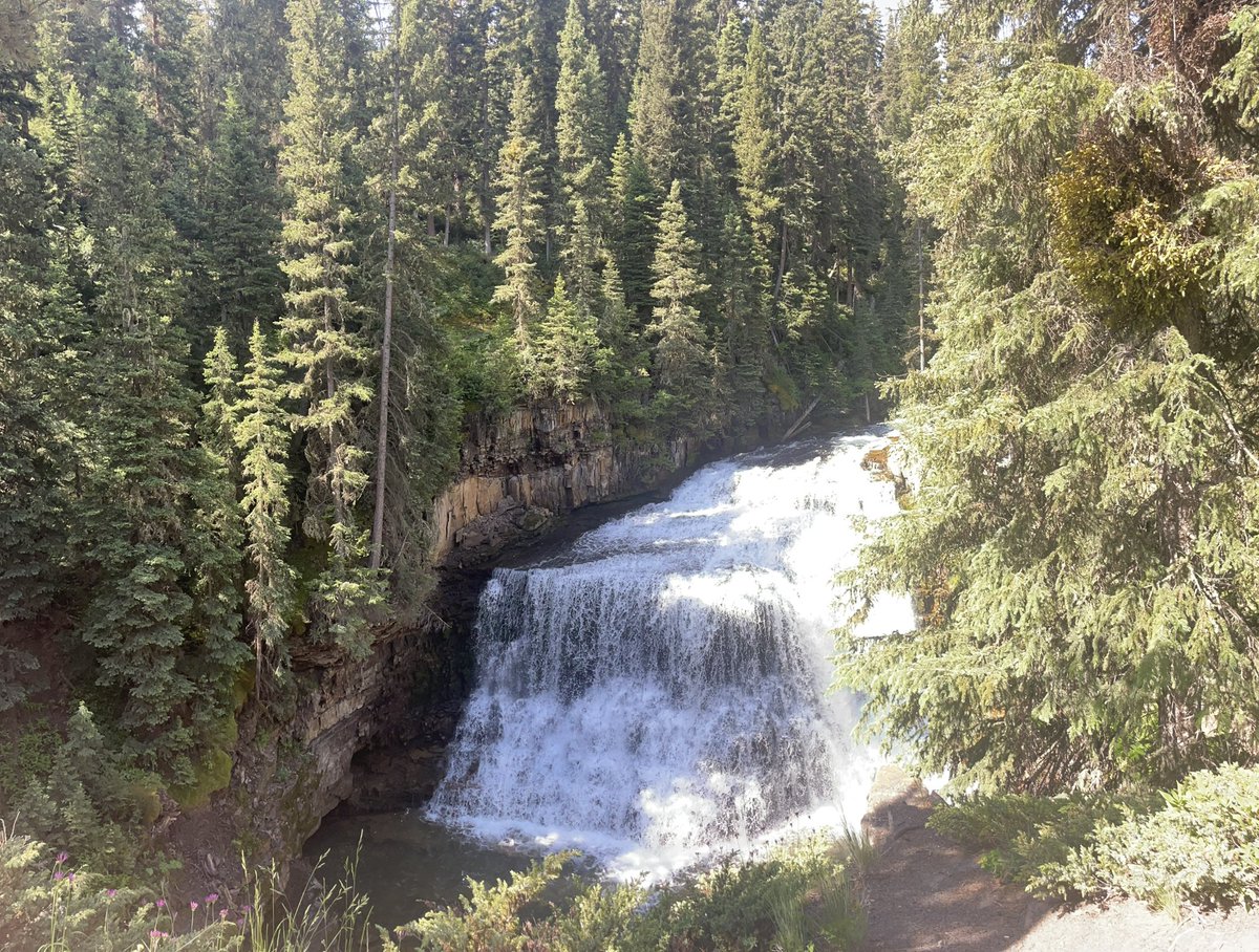 Montana has been “Bussin”

As the kids would say…