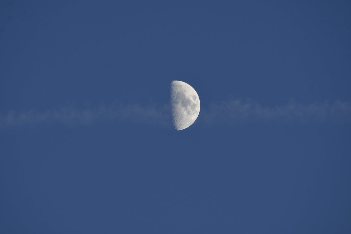 Chris Jones (@jonesy1007) on Twitter photo Thursday's moon, and as darkness falls the bright star Spica (mag 0.89) is seen just above
#MoonHour <a href="/MoonHourSocial/">#MoonHour™️Social</a> Thursday's moon, and as darkness falls the bright star Spica (mag 0.89) is seen just above
#MoonHour <a href="/MoonHourSocial/">#MoonHour™️Social</a>