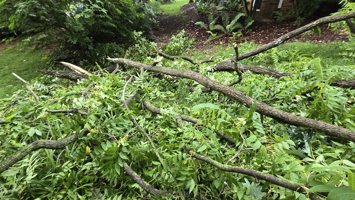 Last Thursday, I had a 1,000-pound tree limb fall in my yard, leaving me a mess to deal with.   This Thursday, it's a dang rock through my back windshield.   I must be in my "death from a thousand paper cuts" timeline.

Such a lovely thing to tackle after closing time over a