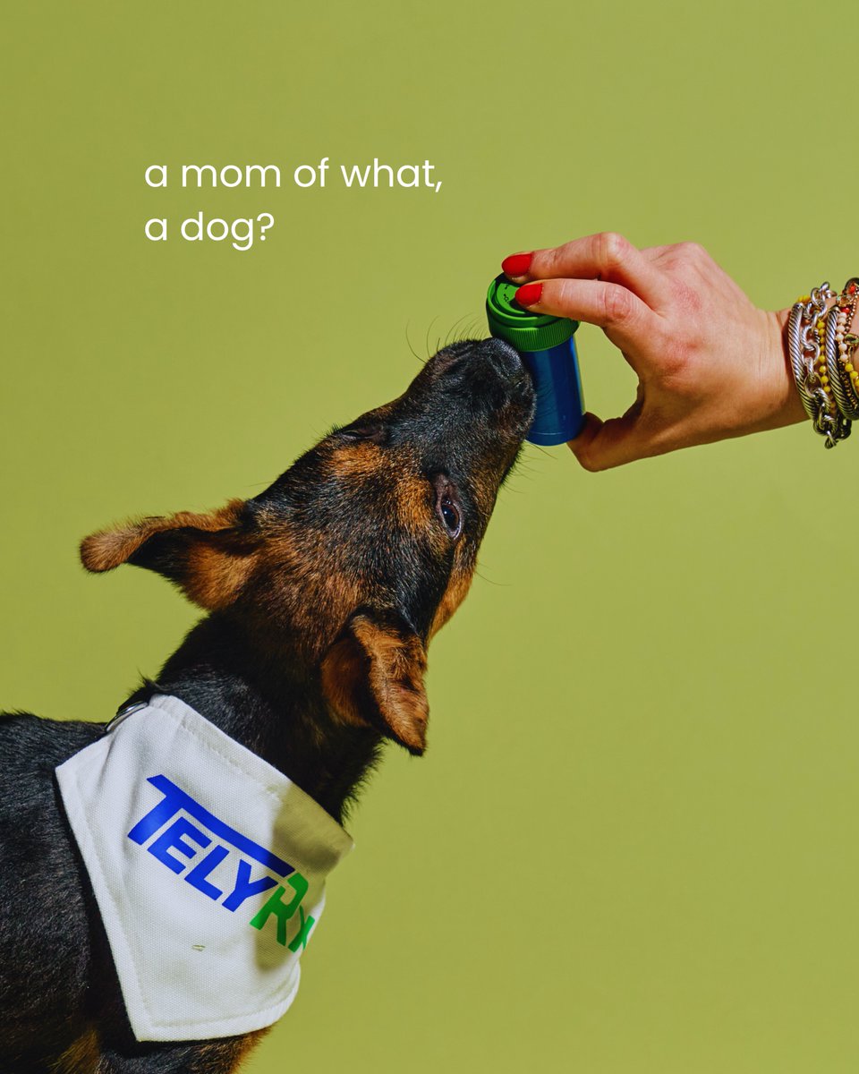 TelyRx_'s tweet photo. Call us mother. We’ve got your Zepbound, your fluconazole, your inhaler, your ESA letters, your eye drops—everything. https://t.co/jTmhRRyiOO