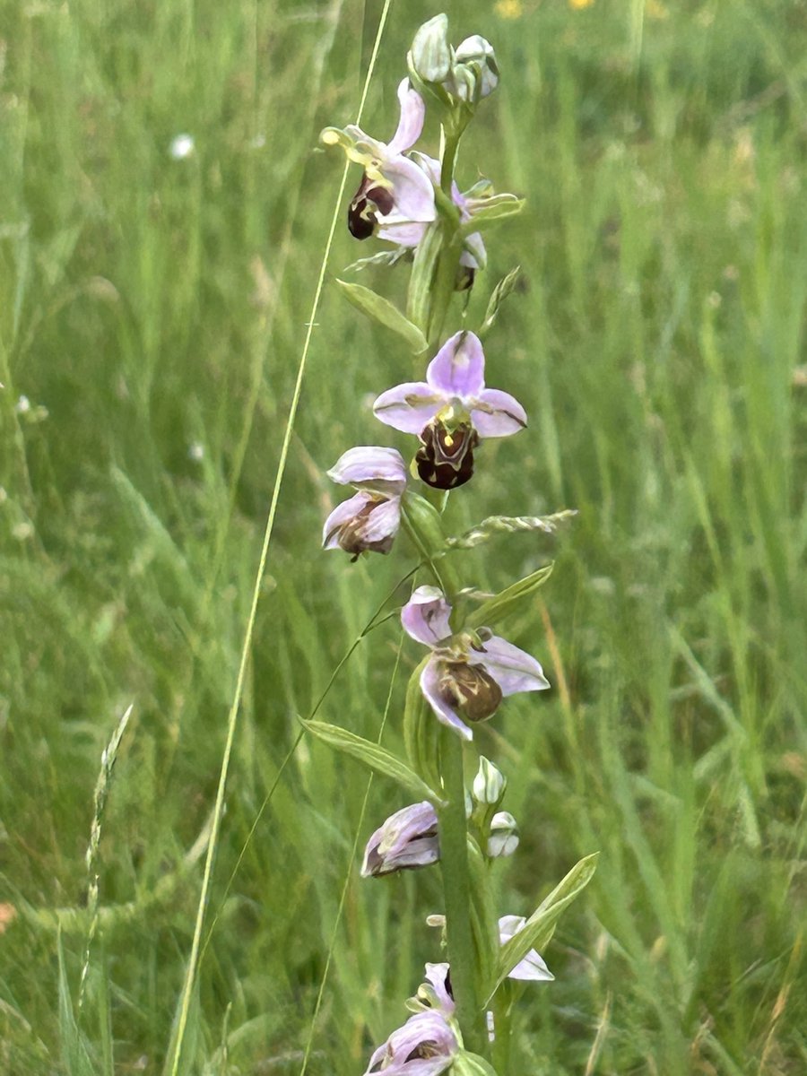 Paul Fitzsimmons tweet media