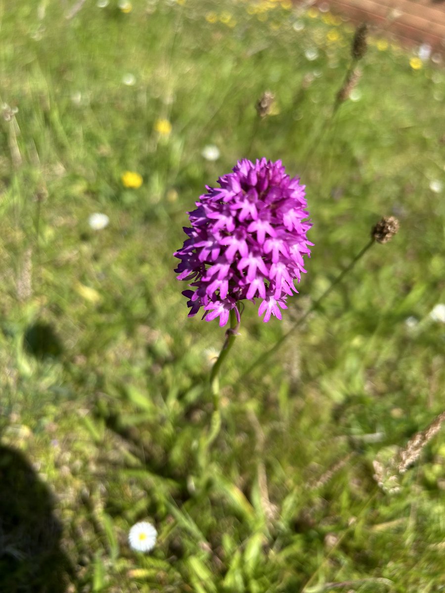 Paul Fitzsimmons tweet media