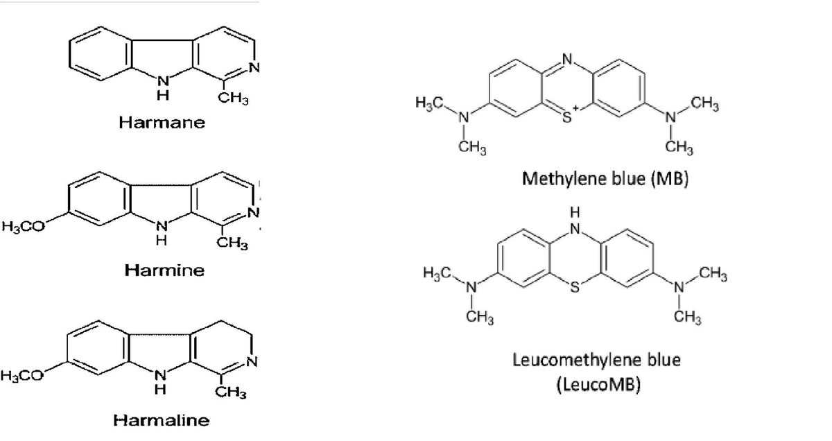 🤔🧐👨‍🔬🚵‍♂️ 

I wonder if harmane, harmine, and harmaline would have efficacy as an intervention for methemoglobinemia or if the other qualities are similar enough for them to be considered analogs