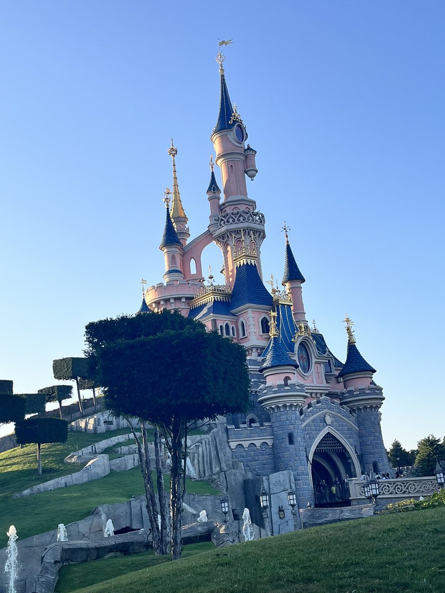 OMAParis2025's tweet image. The happiest place on earth!