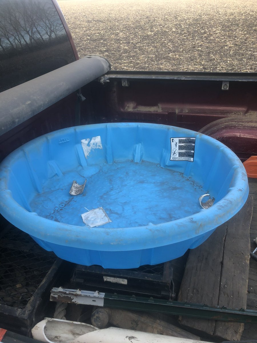 $3.50 corn vacation probz with my field finds pool from’21