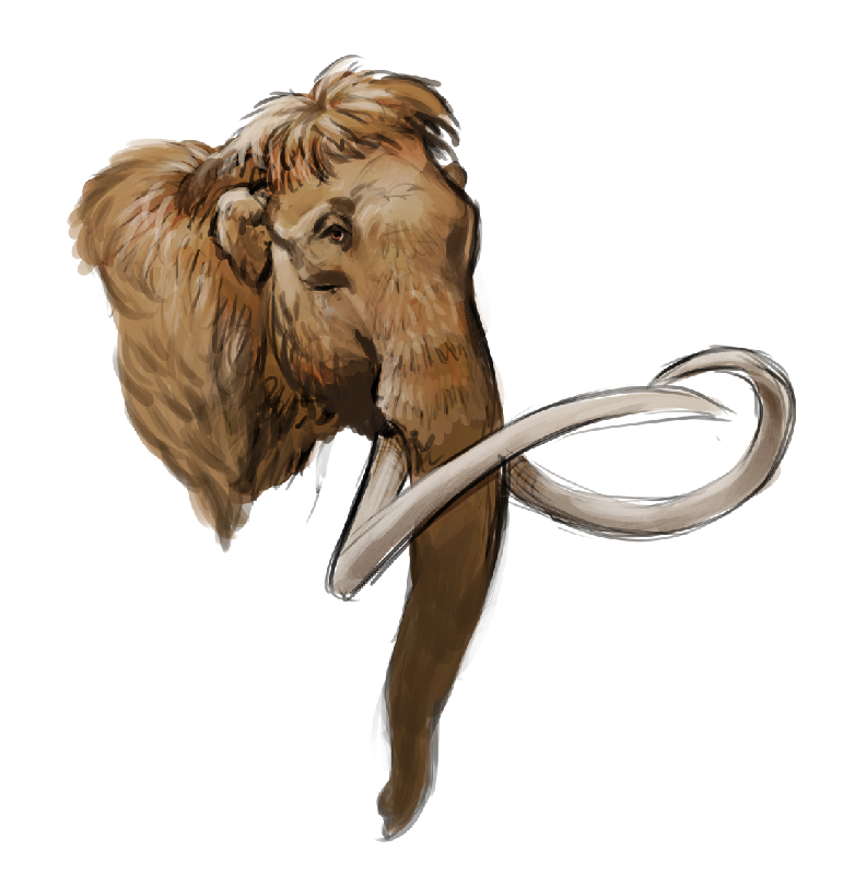 camthecowboyman's tweet photo. Mammoths on the brain so I sketched one https://t.co/O0Ib1lUNWr