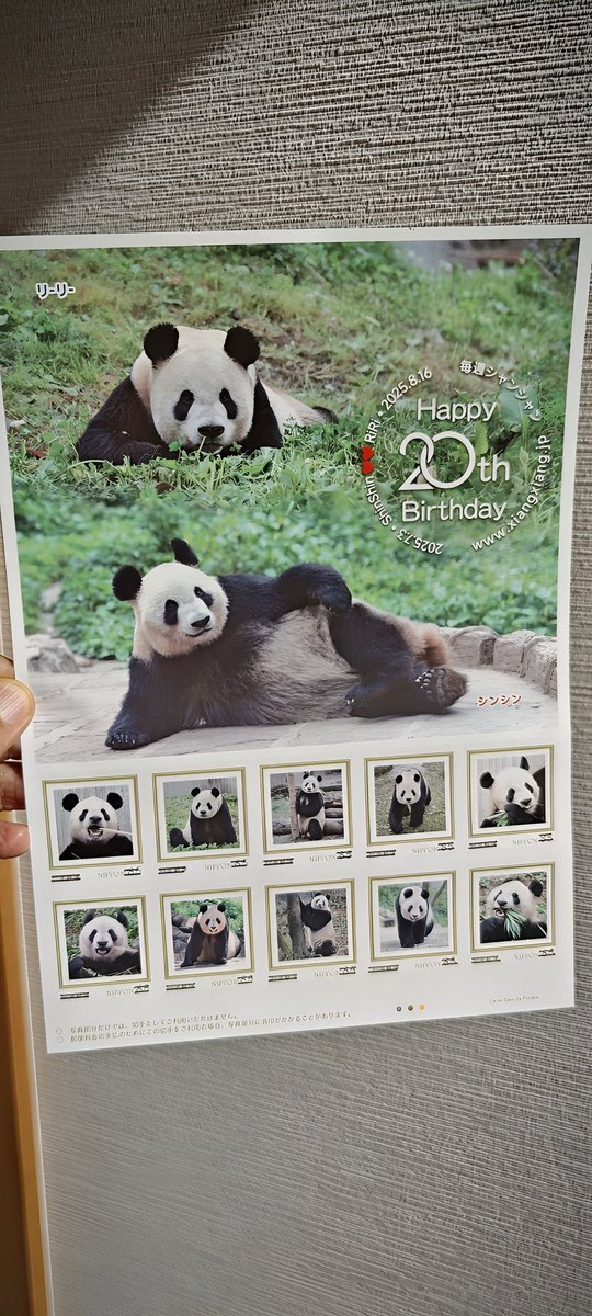 毎週シャンシャン on X