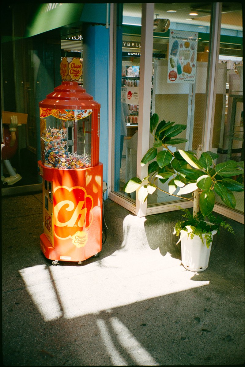 35mm film #ナツラボ