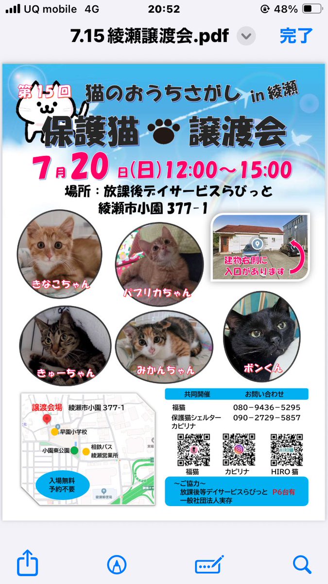 ebina_fukuneko's tweet photo. ✨会いにきて✨

猫のお家さがし
『保護猫譲渡会in綾瀬』

��家族様募集中です／

tnr現場での保護
猫風邪ひいていて保護した子
過酷なお外の世界で頑張ってた子達です
みんなにずっとのお家が
見つかりますよう

#拡散希望
#保護猫
#猫譲渡会
#保護猫と暮らす幸せ 

#綾瀬市#海老名市#厚木市 https://t.co/qcVd5x0baC
