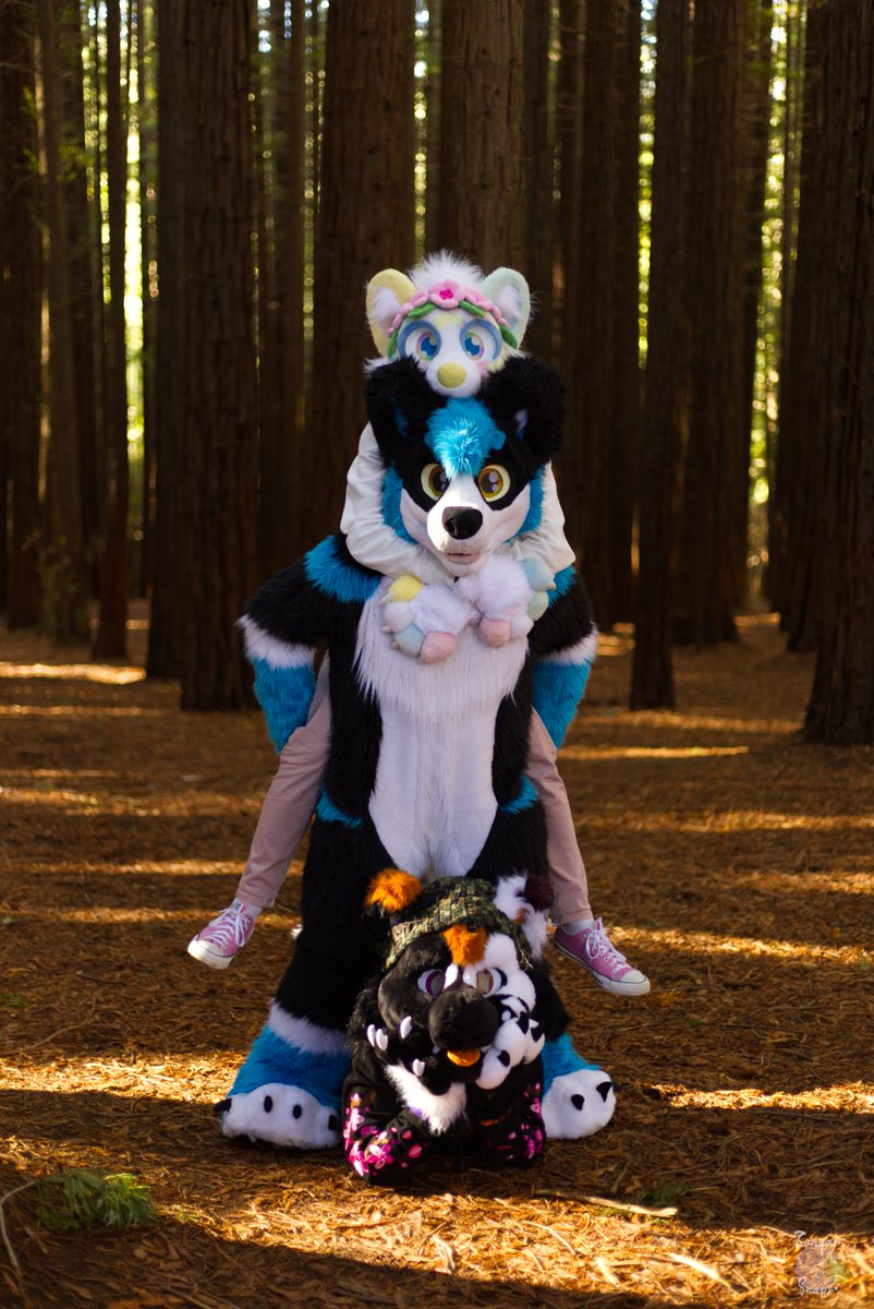 I think i may have gone too deep into these woods.....
#FursuitFriday #fursuiter #furry #furryphotography