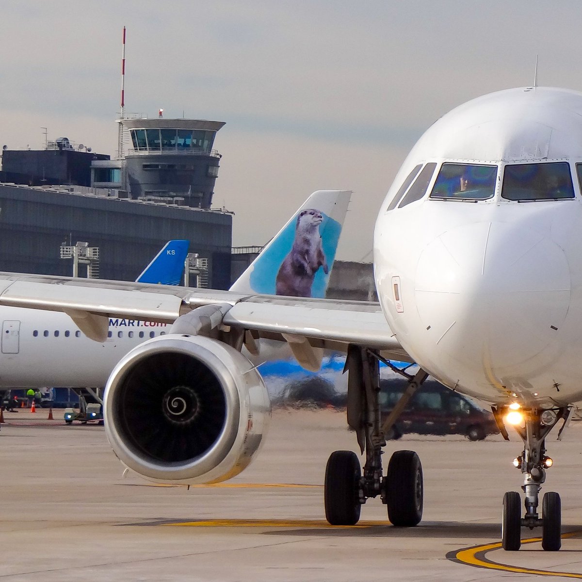 rama_spotter's tweet photo. 🙂 Cara a cara con el A320. 🙂 ↔️ Y deslizá para ver más.
✈️ Airbus A320-200. CC-COG
👨🏻✈️ Latam.
📍Aeroparque (AEP)
🌎 Buenos Aires, Argentina. 🇦🇷
Instagram: rama_spotter
#Airbus #LatamChile https://t.co/89kJxve5B5