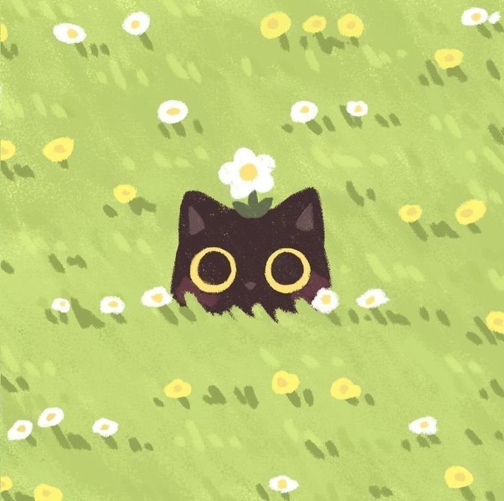only cute things (@cutedreamvibes) on Twitter photo 