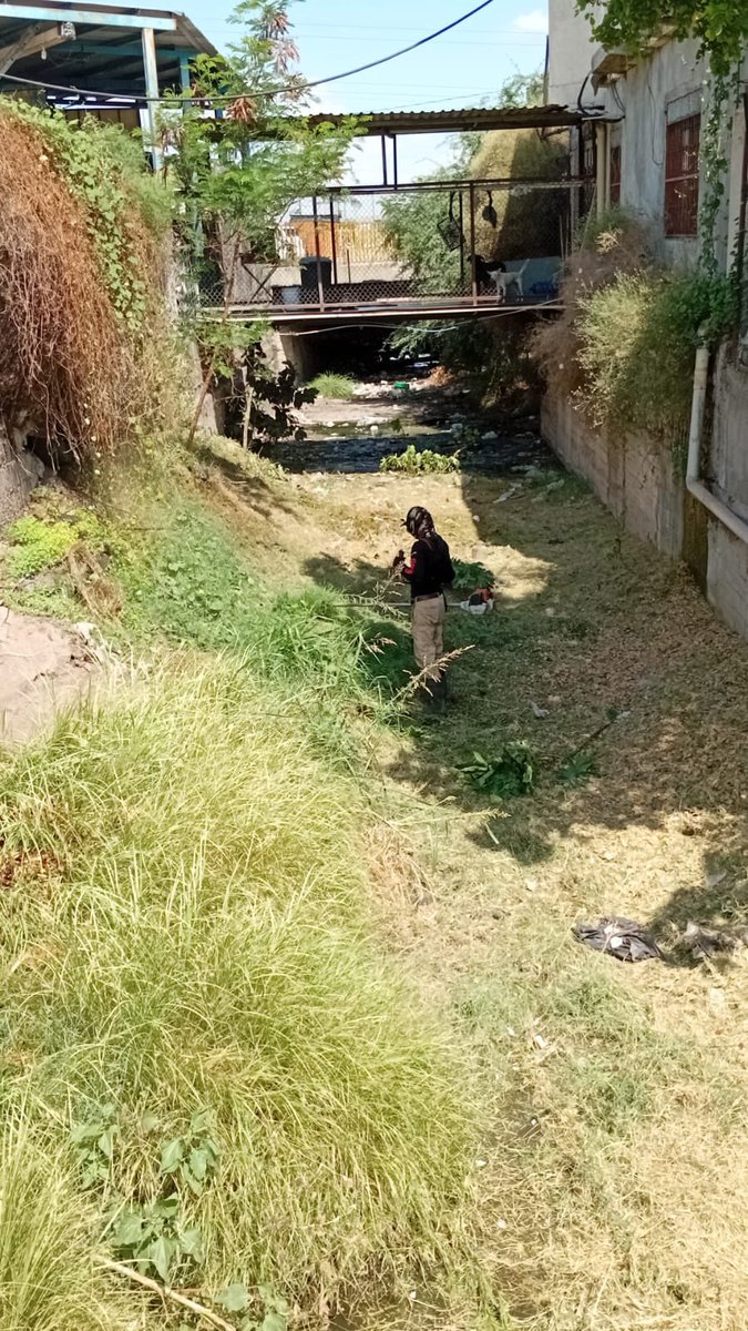 Limpieza de canal sobre el Blvd. Lázaro Cárdenas. 📍

Tu también #PrepárateParaLasLluvias y no tires basura en la calle. 🚯