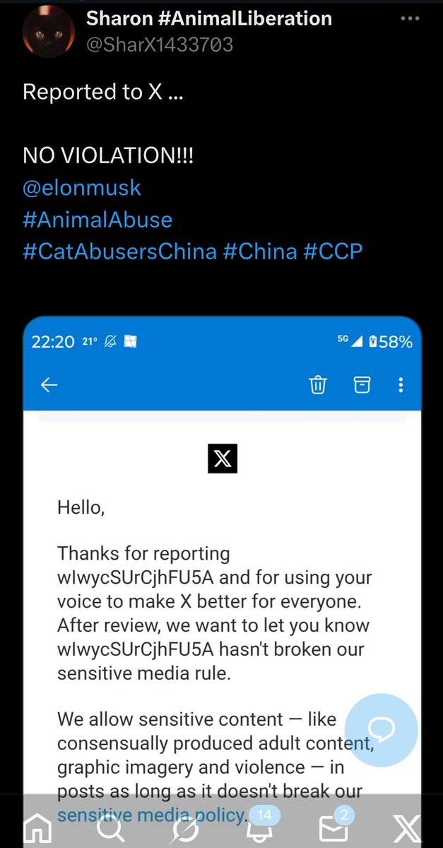 PhaedraXTeddy's tweet photo. While Chinese cat torturers are allowed to misuse our social media, a brave Chinese exposing animal cruelty has been suspended by the same company that allows that cat torture account below and many others. The suspended Chinese animal activist is very possibly in danger and has no way of telling the world.
Most of all its China's fault for not enacting #AnimalProtection laws like any pleasant country would have.